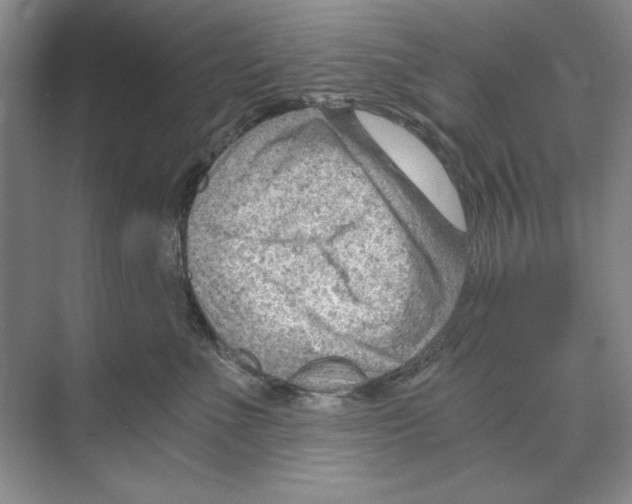 X0000068830523200606021646