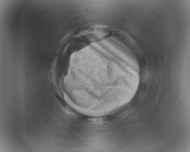 X0000068830524200606021646