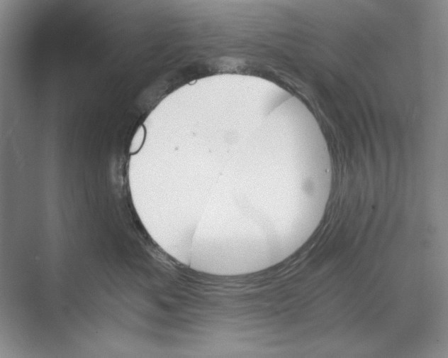 X0000068830525200606021646