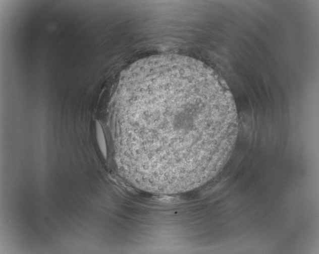 X0000068830527200606021646