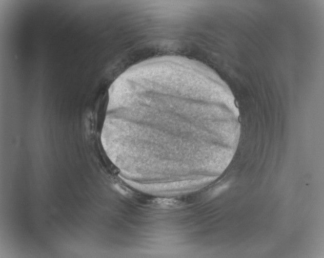 X0000068830528200606021646