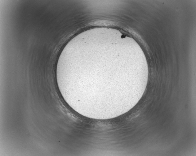 X0000068830529200606021645