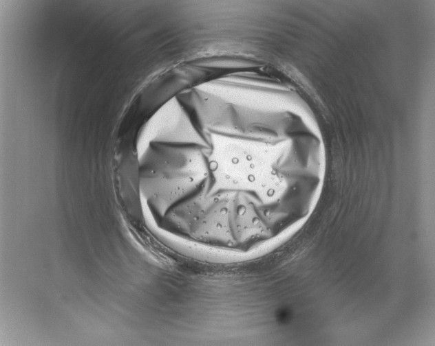 X0000068830530200606021645