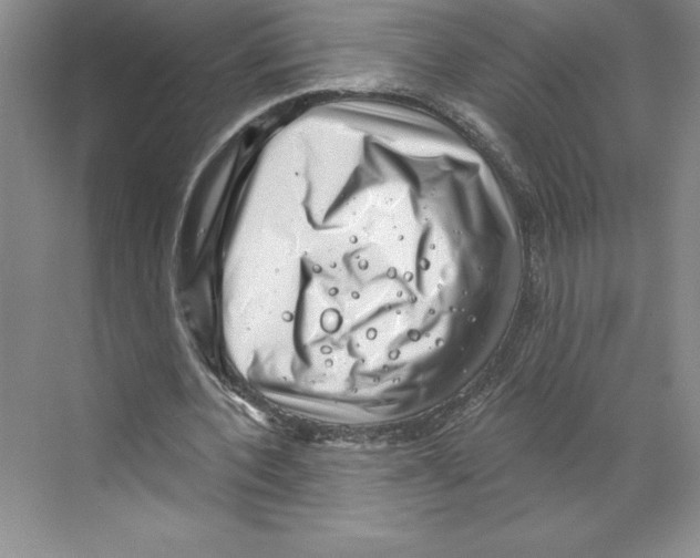 X0000068830532200606021645