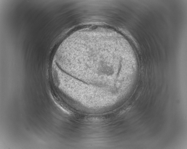 X0000068830533200606021645