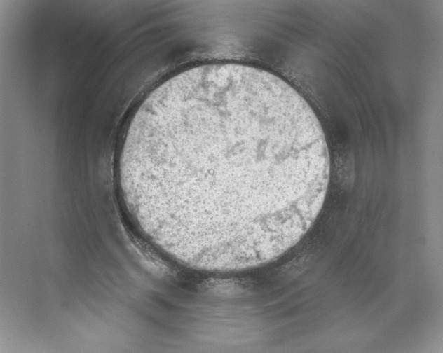 X0000068830534200606021645