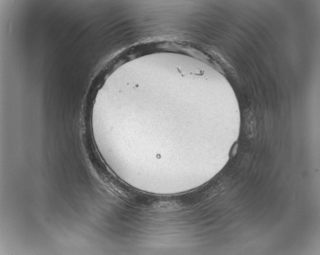 X0000068830536200606021645