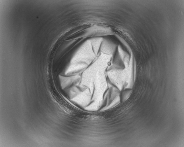 X0000068830539200606021645