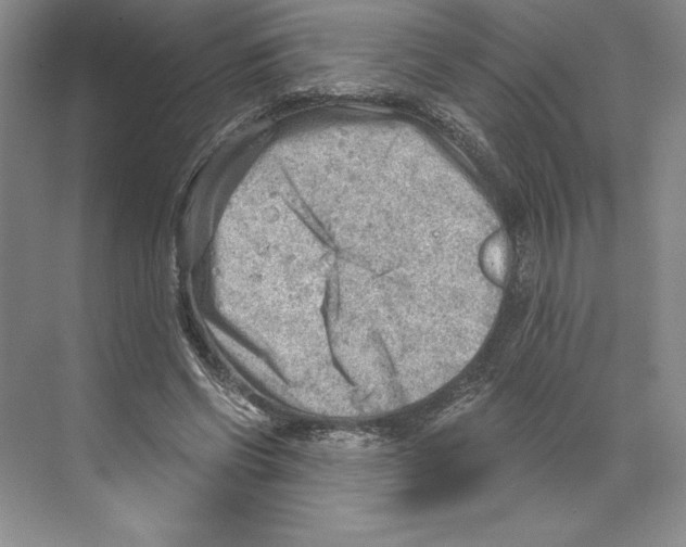 X0000068830542200606021645