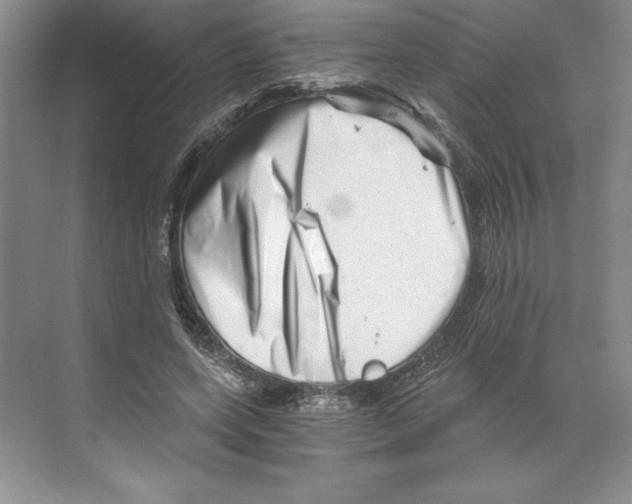 X0000068830543200606021645