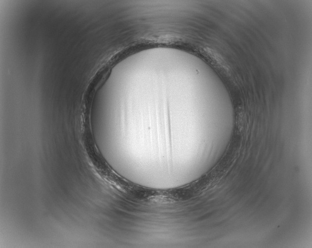 X0000068830544200606021645