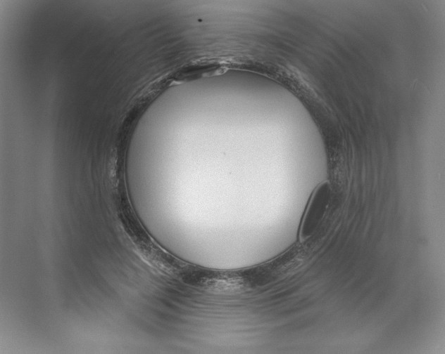 X0000068830548200606021645