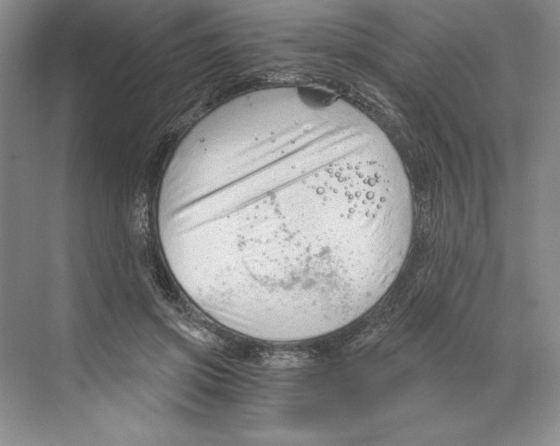 X0000068830549200606021645