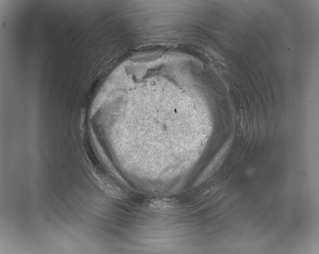 X0000068830550200606021645