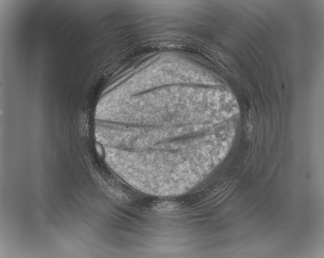 X0000068830551200606021645