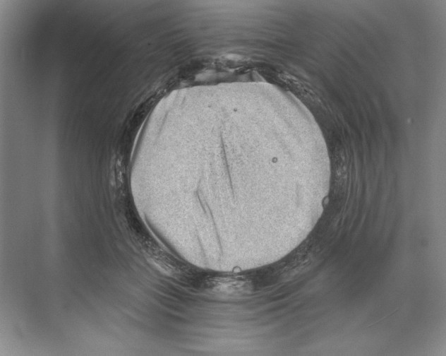 X0000068830555200606021645