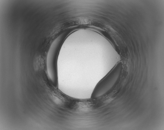 X0000068830556200606021645