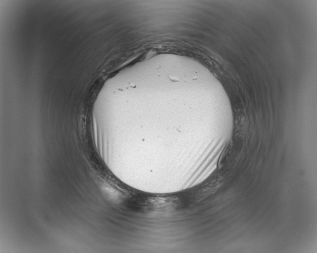 X0000068830558200606021646