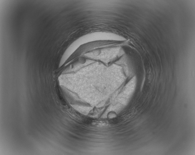 X0000068830559200606021646