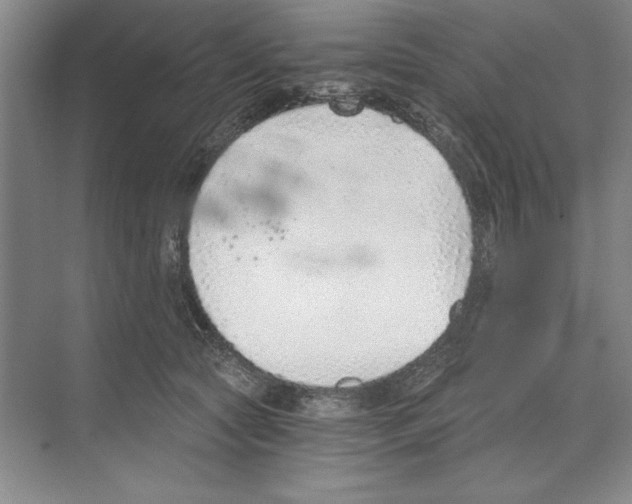 X0000068830561200606021646