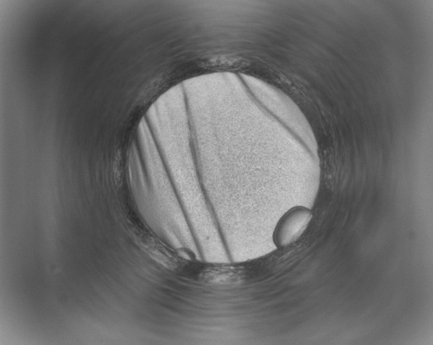 X0000068830563200606021646