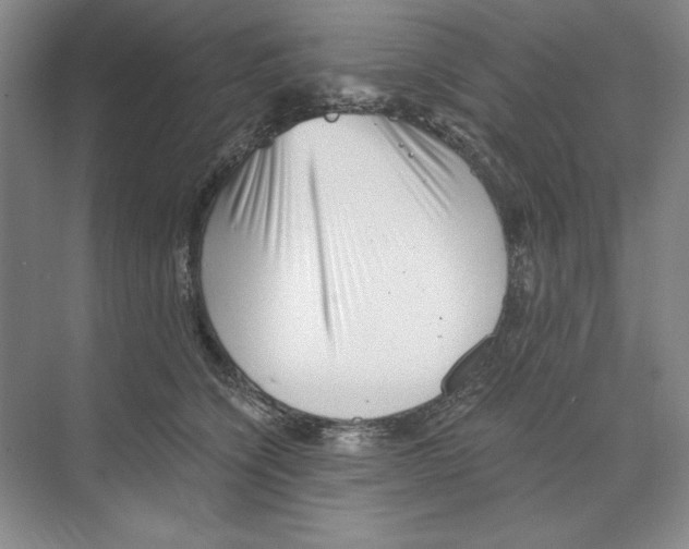 X0000068830564200606021646