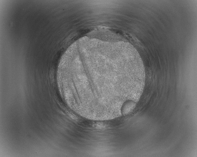 X0000068830565200606021646