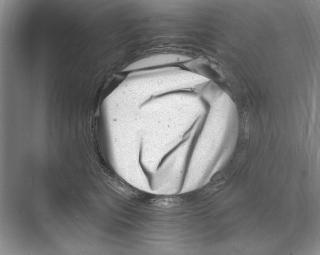 X0000068830567200606021646