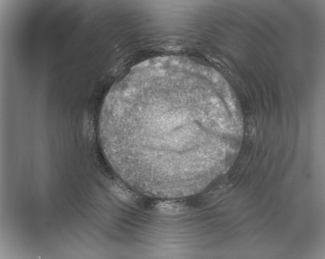 X0000068830568200606021646