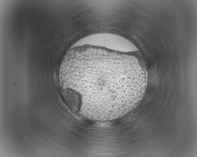 X0000068830569200606021646