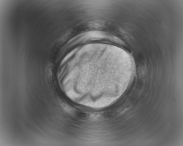 X0000068830570200606021646