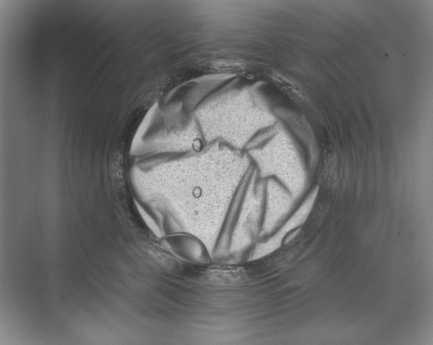 X0000068830571200606021646