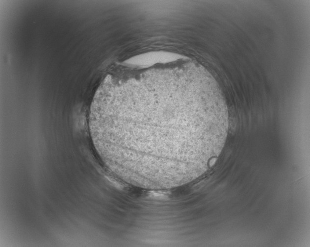 X0000068830573200606021646