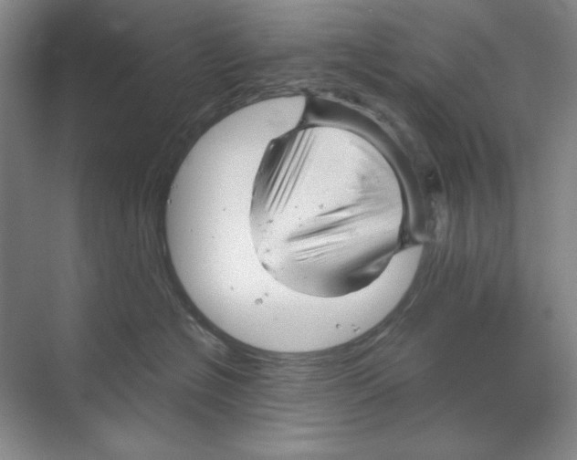 X0000068830574200606021646