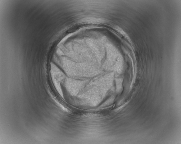 X0000068830581200606021645