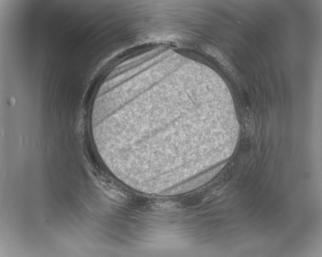 X0000068830583200606021645