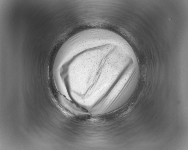 X0000068830589200606021645