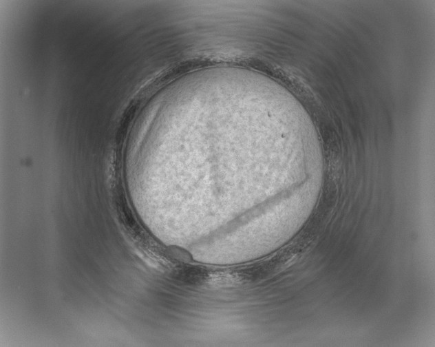 X0000068830591200606021645