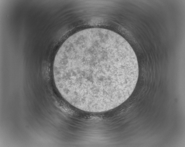 X0000068830592200606021645