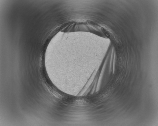 X0000068830596200606021645