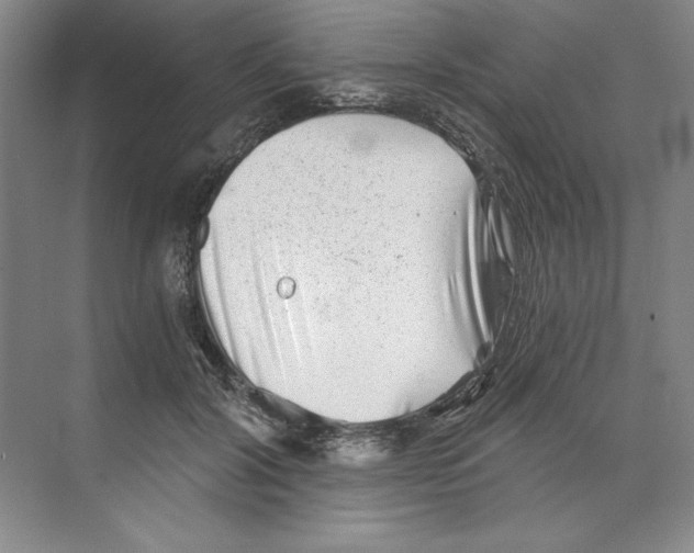 X0000068830604200606021645