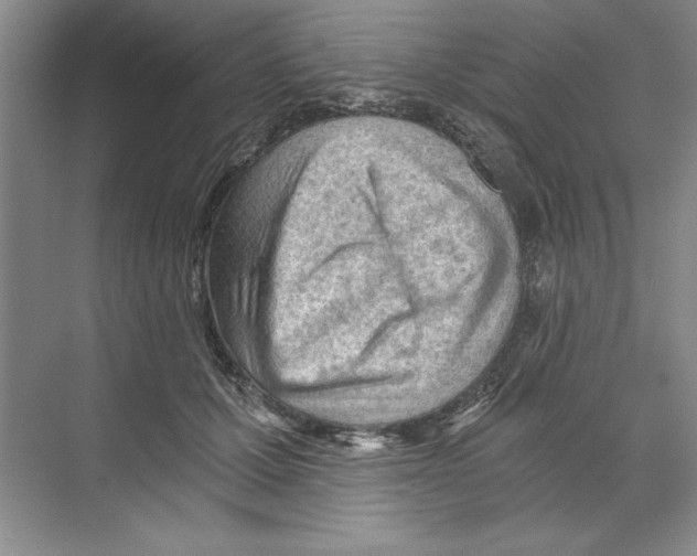 X0000068830607200606021645