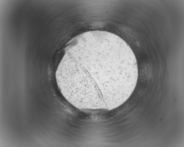 X0000068830608200606021644