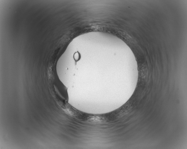 X0000068830611200606021644