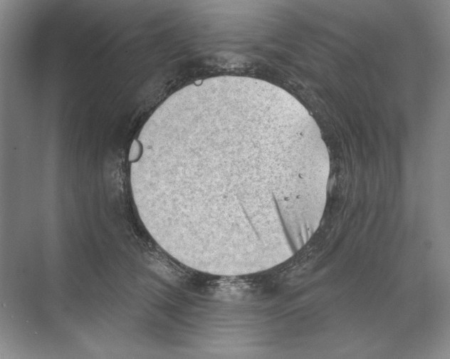 X0000068830612200606021644