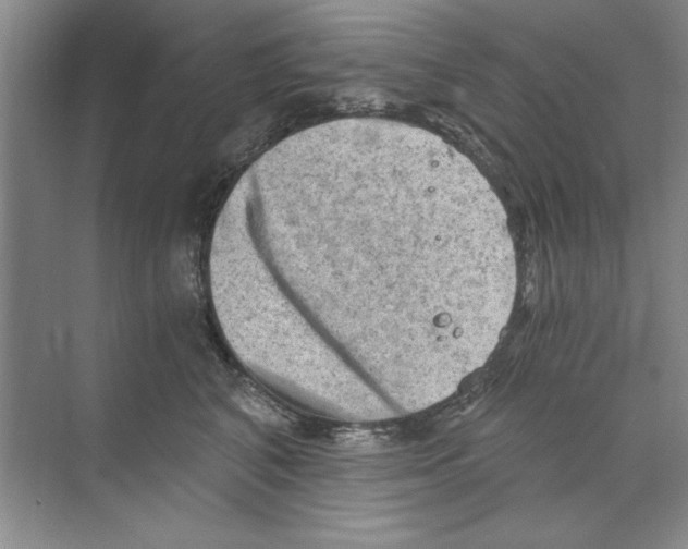 X0000068830616200606021644