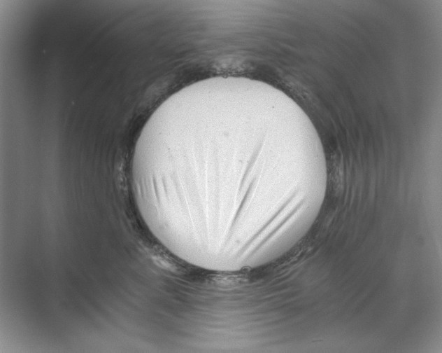 X0000068830619200606021644