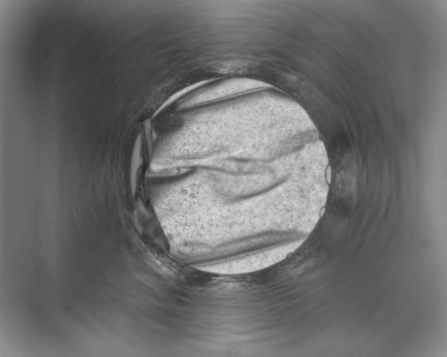 X0000068830620200606021644