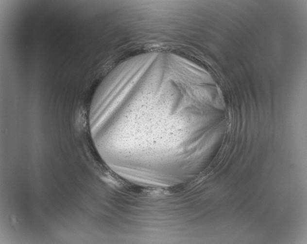 X0000068830621200606021644