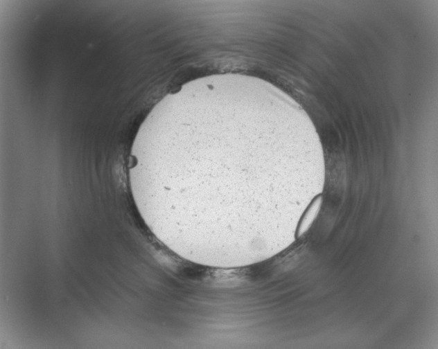 X0000068830622200606021644